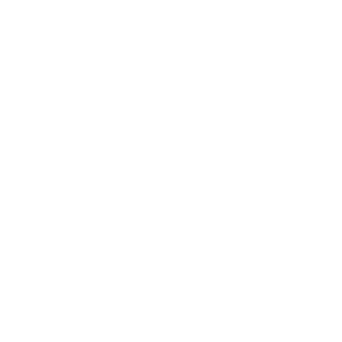 simbolo colibri sfera360