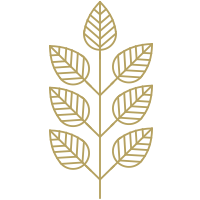 simbolo hojas sfera360